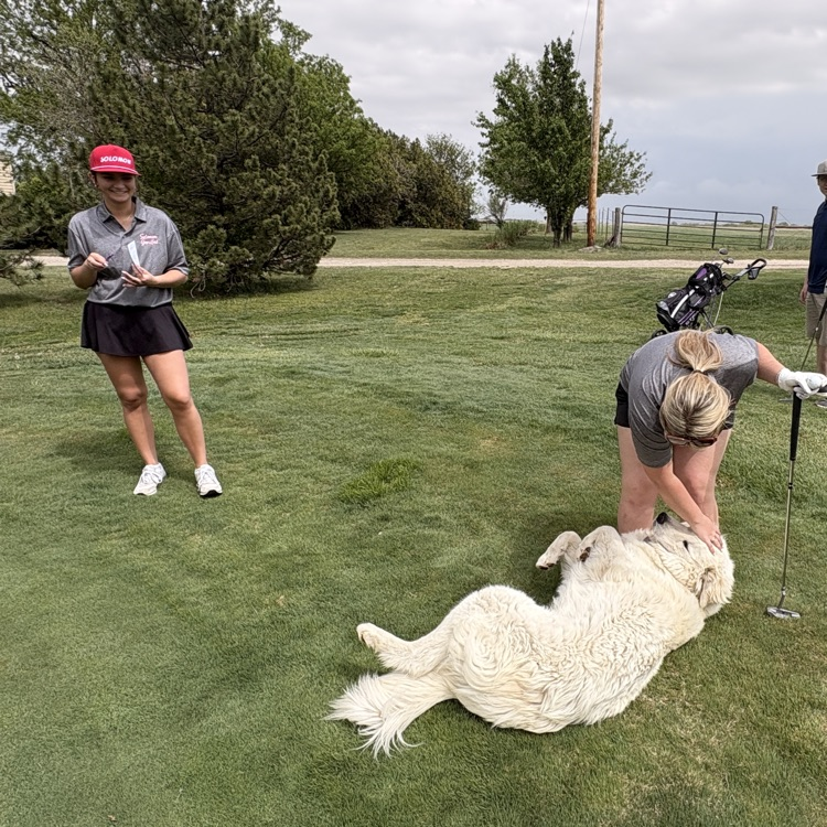 A friendly visitor on green 4