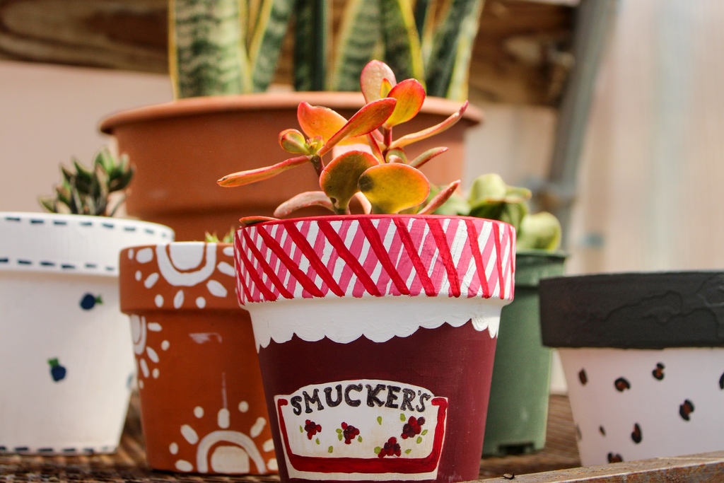 succulent potted plant with a cute design of Smuckers strawberry painted on the pot 