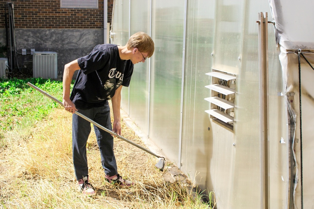Male student using a hoe to clean un the ground and foliage near the greenhouse