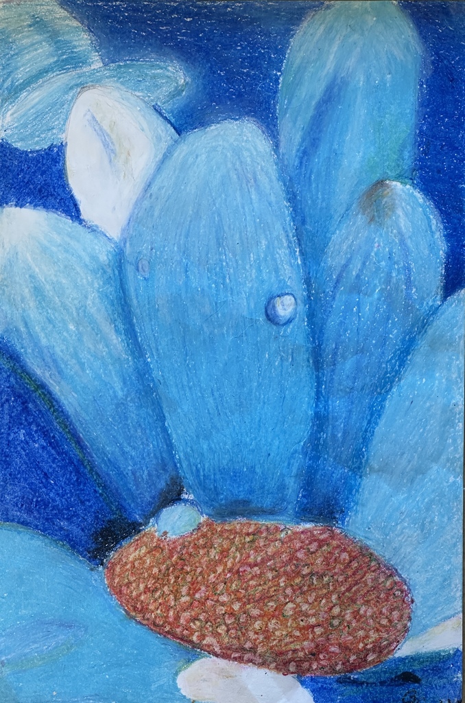 colored pencil