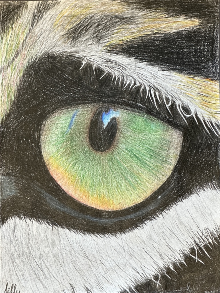 colored pencil