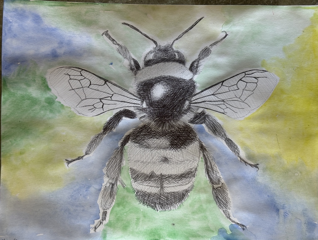 multi colored background with a black and white bee in the middle