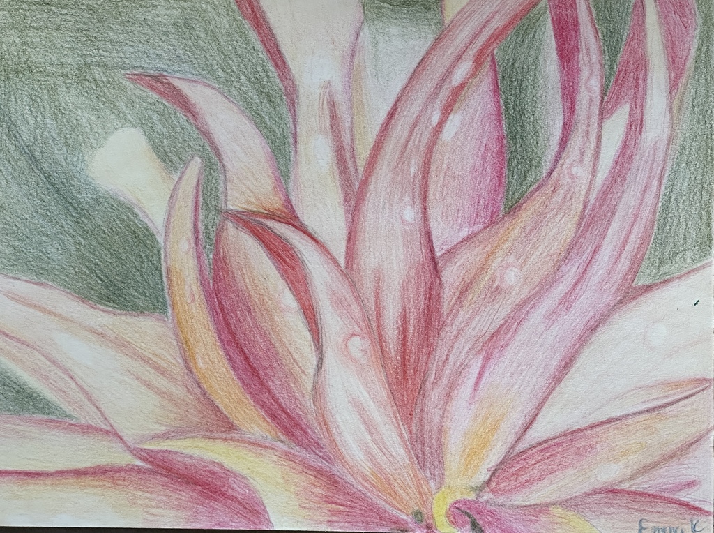 colored pencil art of a river flower