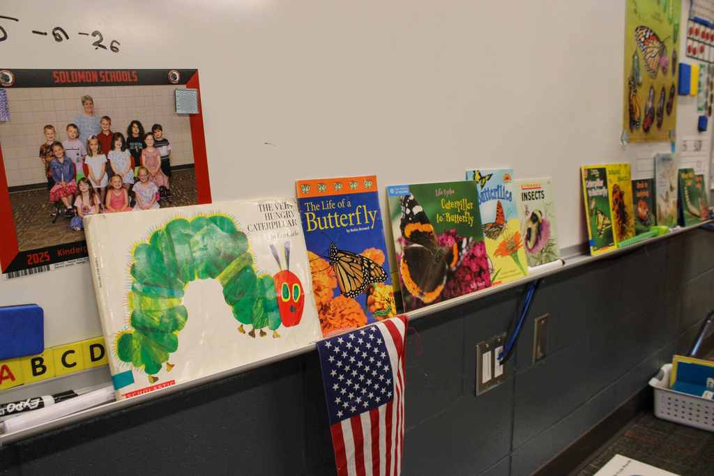 books lined up about butterflys