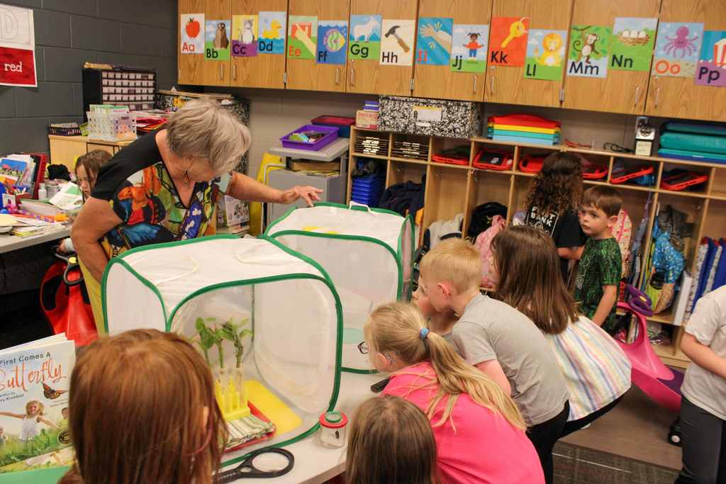 Sherry kriebhel pointing out butterflys to group of students