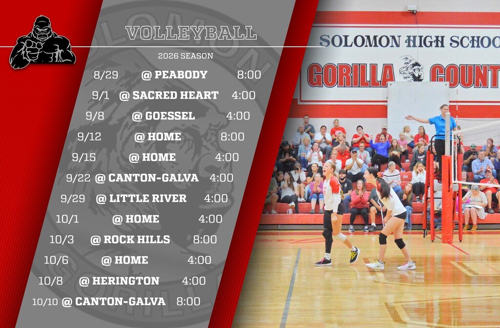 hs volleyball season schedule