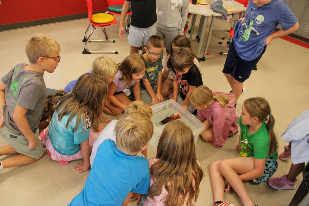 group of students sitting around a bucket of water, waiting to see if the boat on top will sink or float
