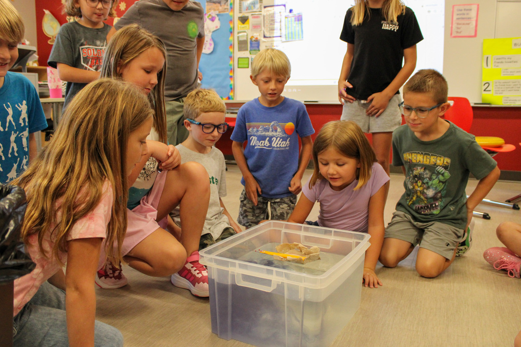 group of students sitting around a bucket of water, waiting to see if the boat on top will sink or float