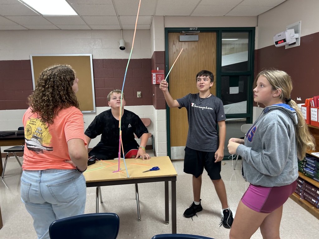 business class straw project