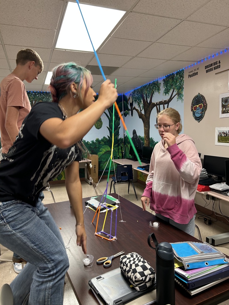 business class straw project