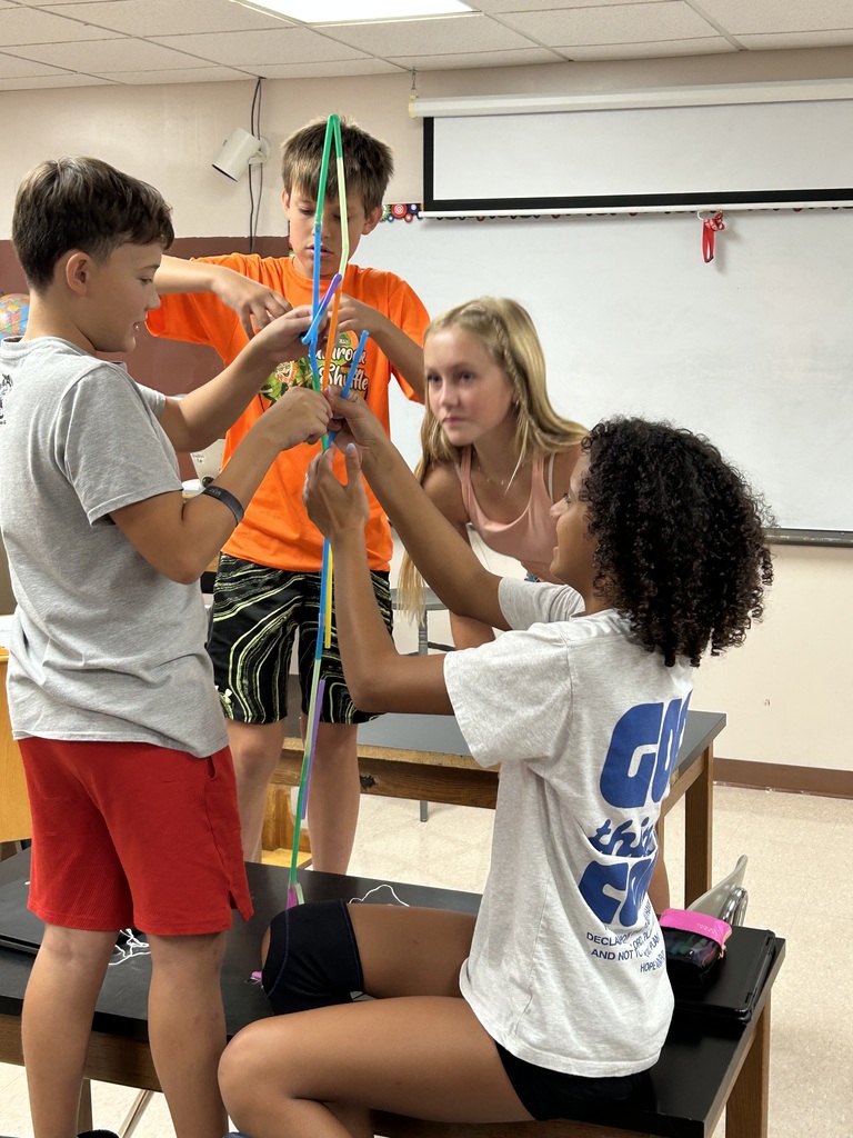 business class straw project