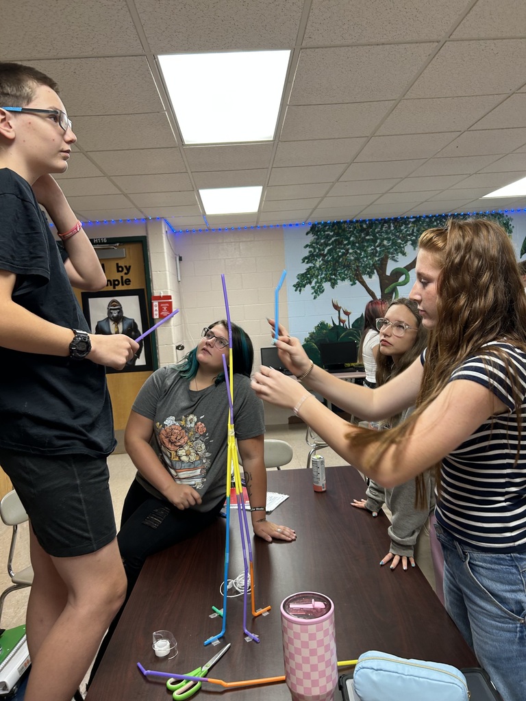 business class straw project