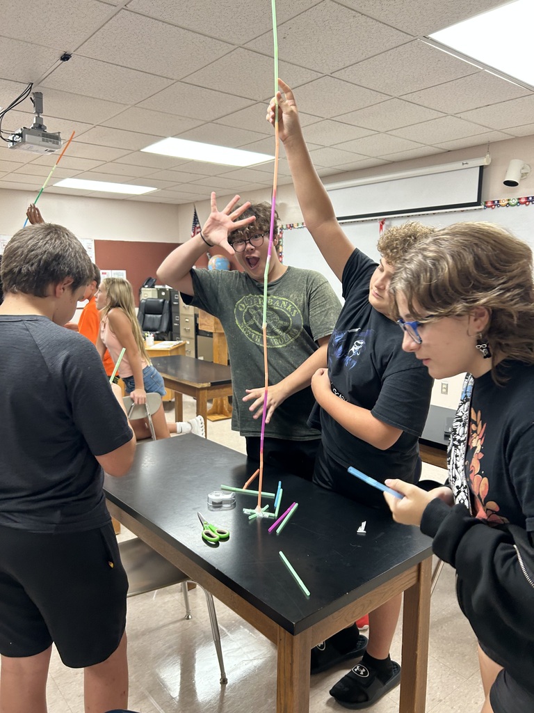 business class straw project