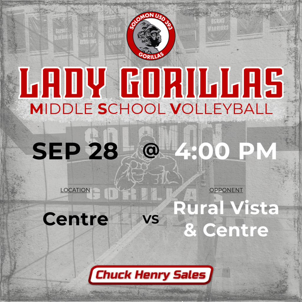 MS VB GAME NOTIFICATION