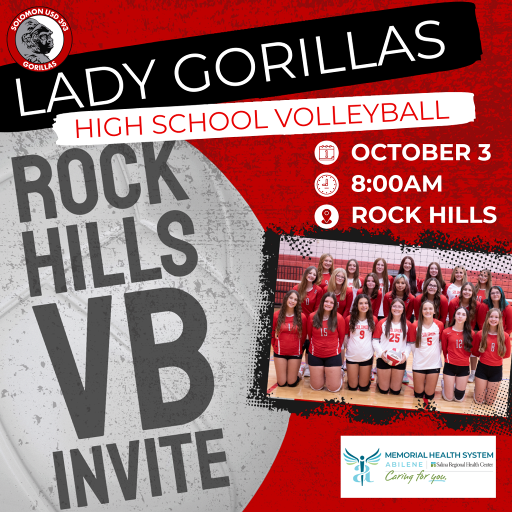 hs vb game notification