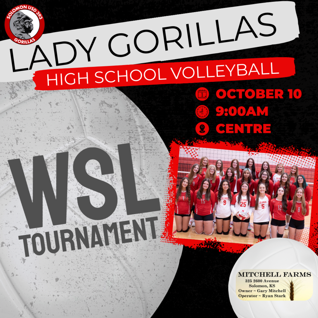 wsl vb game day notification