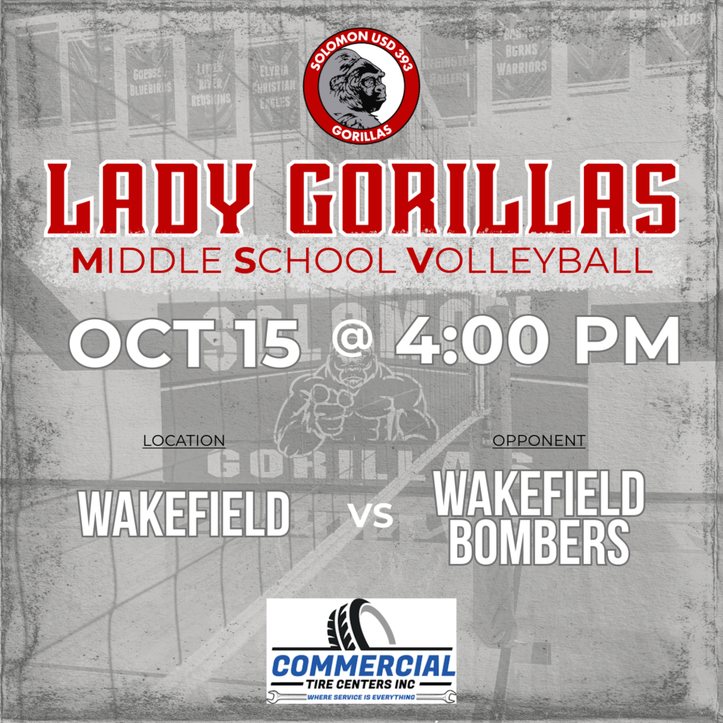 MS VB GAME DAY POST