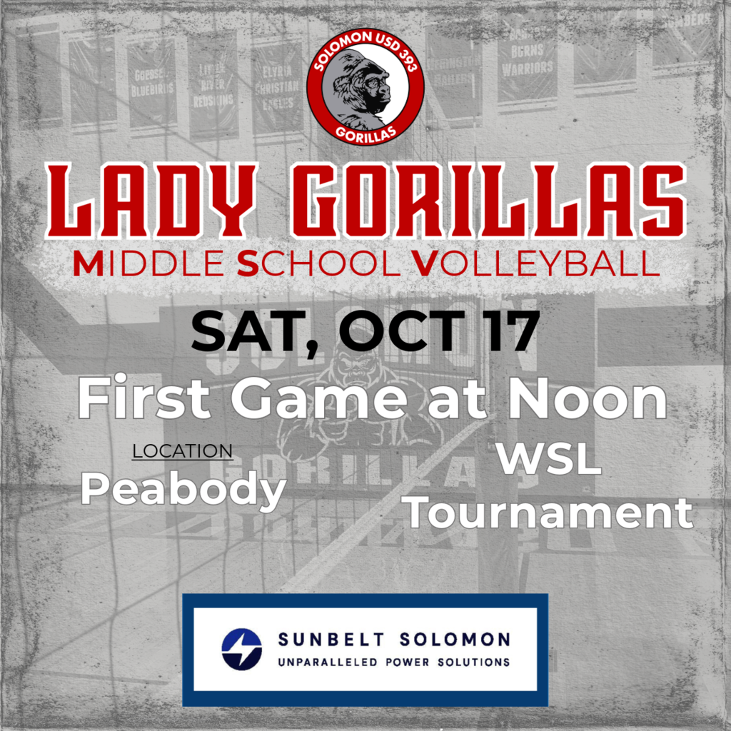 MS VB GAME DAY POST