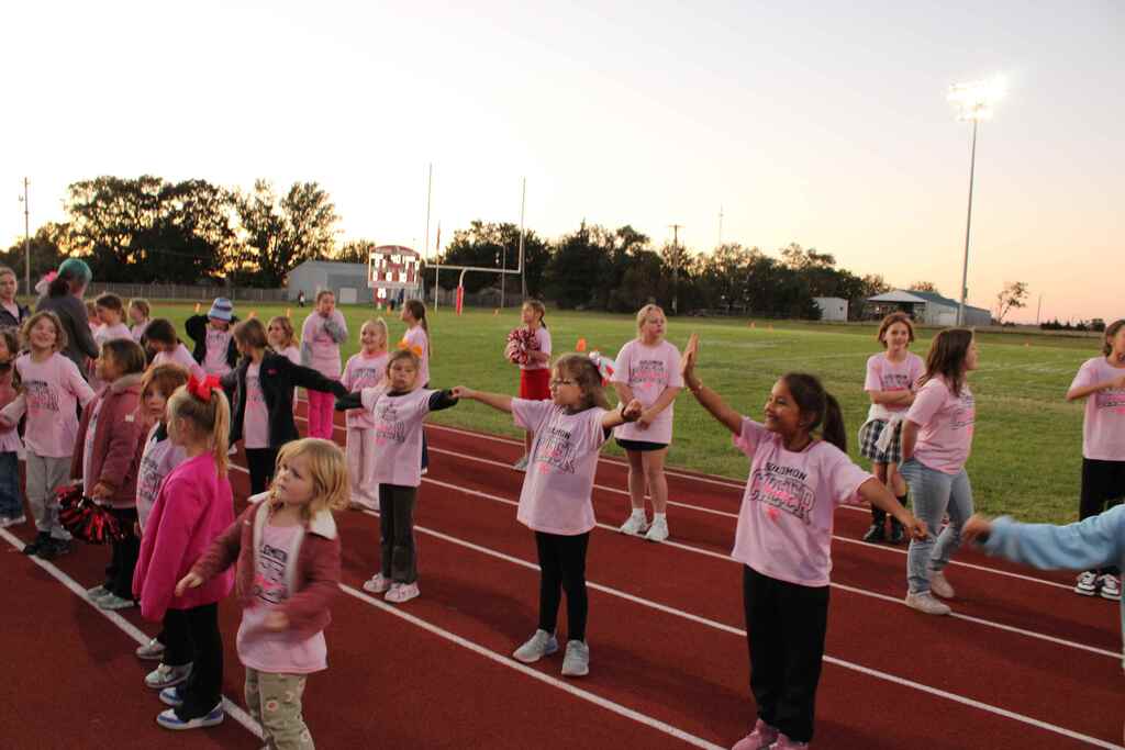 Mini cheer clinic night