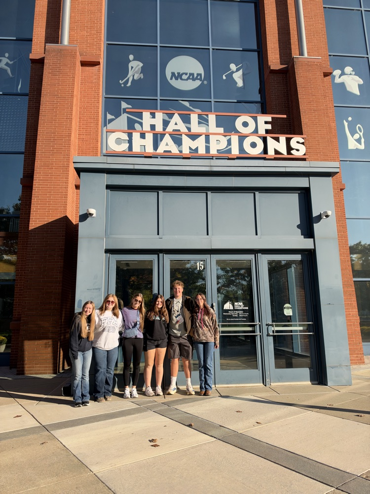 hall of champs 