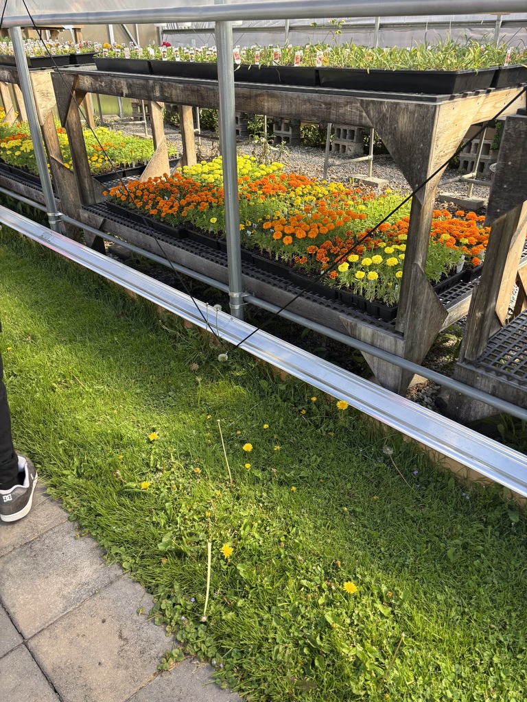 Field Trip Photos