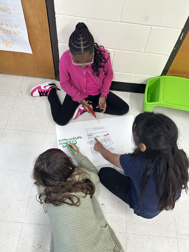 3rd Graders Working on Math Reasoning