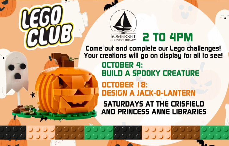 Community Event Lego Night