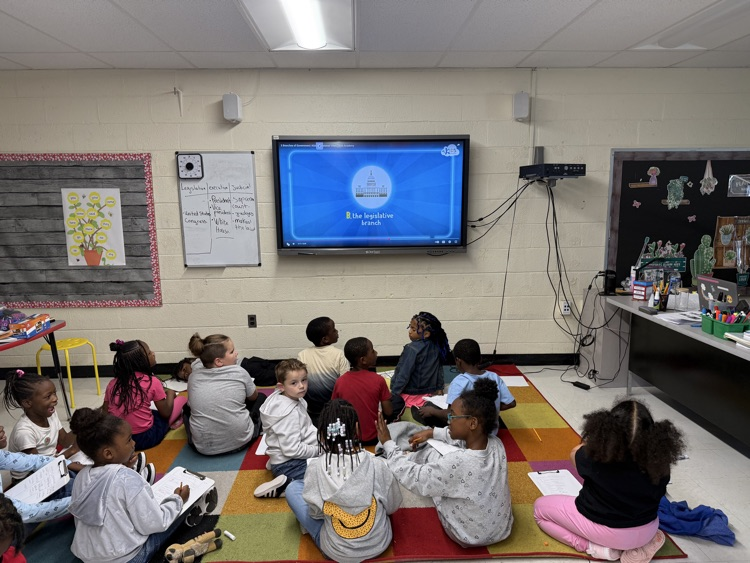 2nd Grade Learning about the Branches of Government