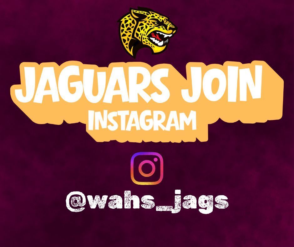 Instagram Roll out