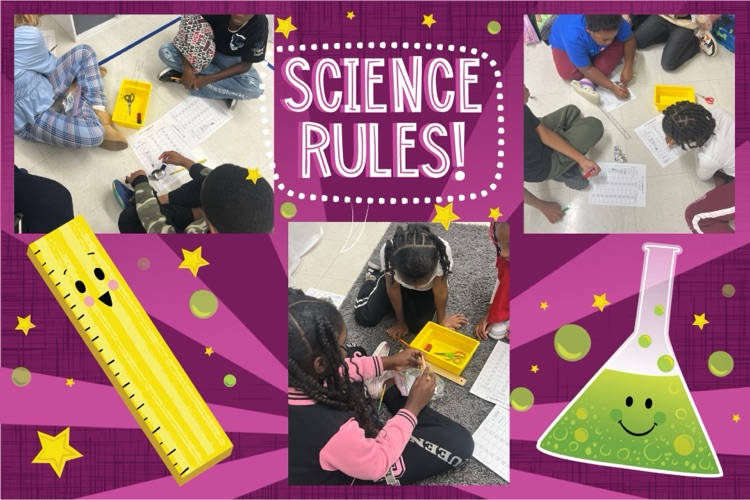 Forces and Motion Unit 3rd Grade