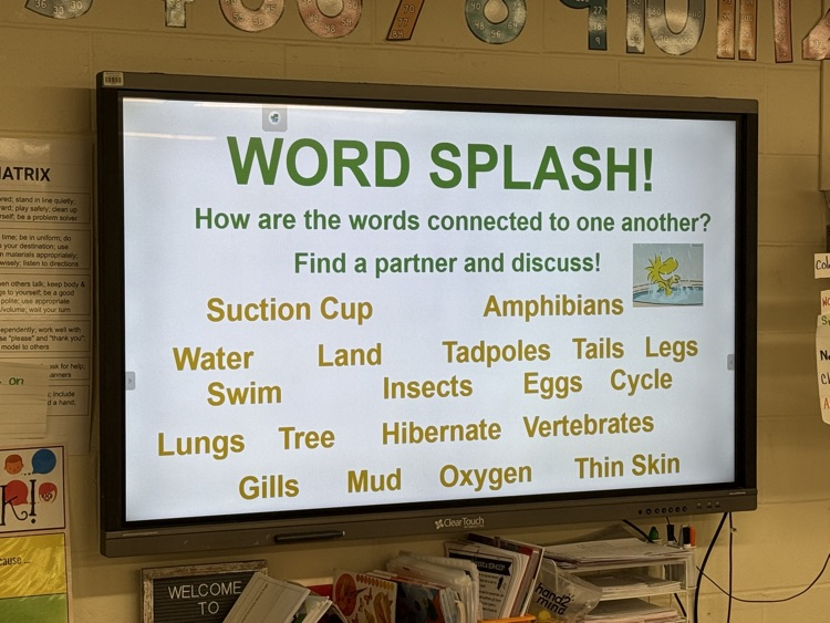 word splash