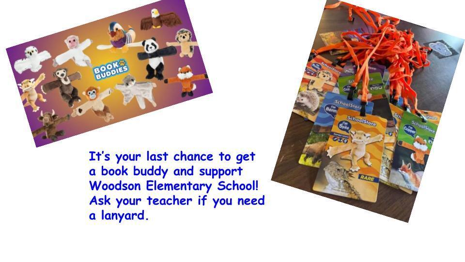 Book Buddy Slide