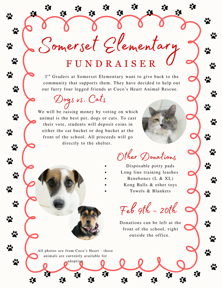 Coco's Heart Fundraiser info