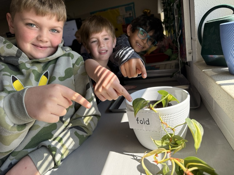 First grade students had a blast with some friendly competition while practicing this week’s phonics pattern! 