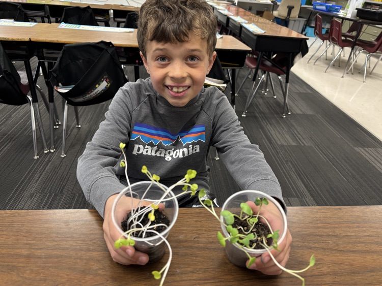 Our Second Grade Scientists tested whether radish seeds could grow without light…and the answer was YES! 