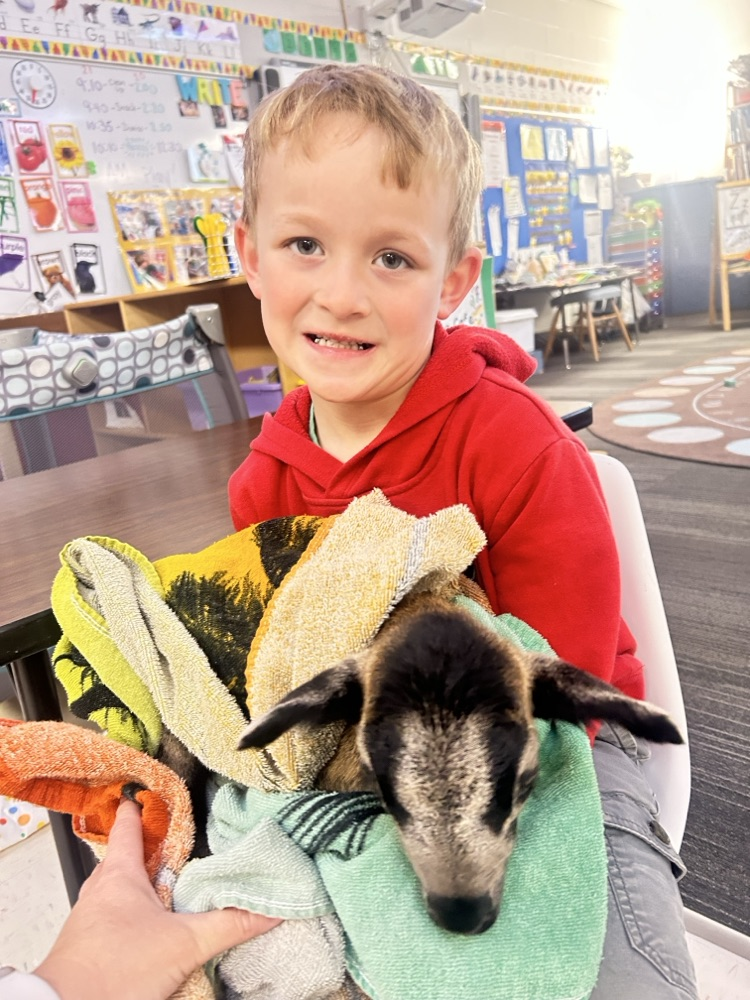 Zippy Zack made a special visit to SES and stopped by Ms. Larson’s class for some extra fun! 