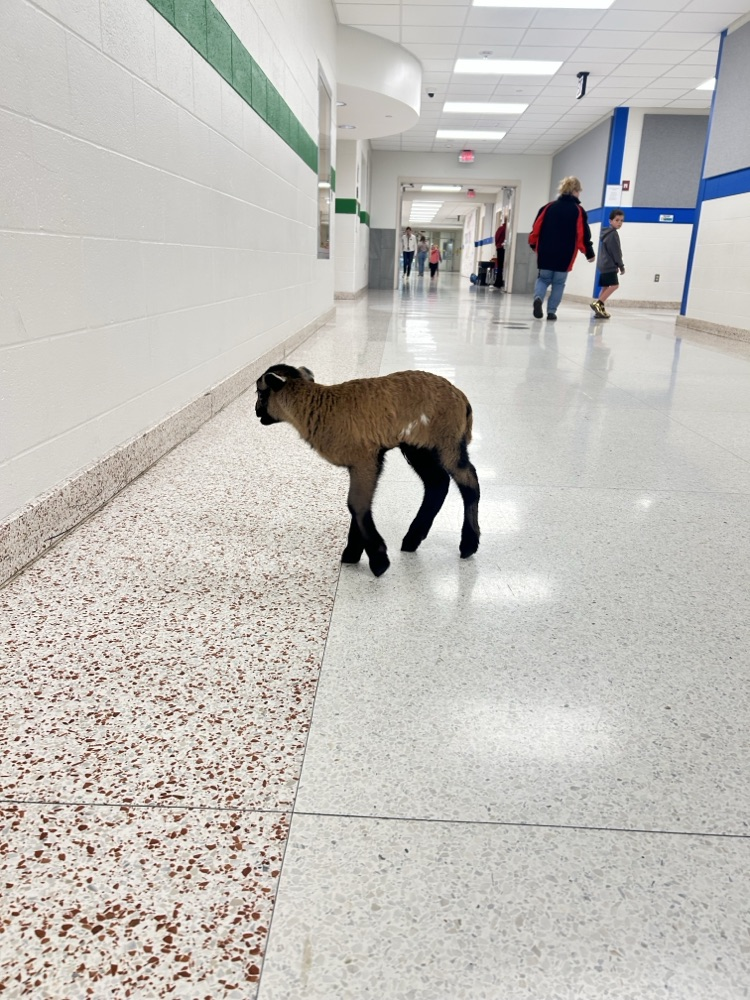Zippy Zack made a special visit to SES and stopped by Ms. Larson’s class for some extra fun! 