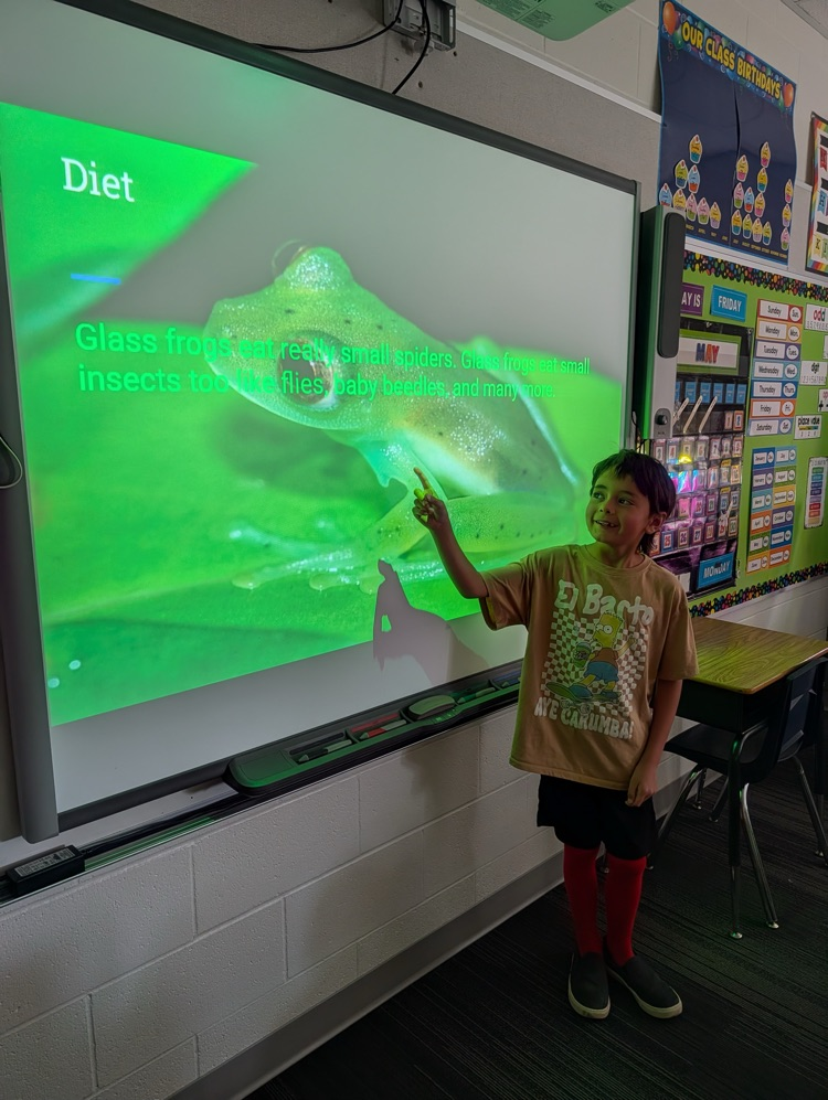 Our 2nd graders researched an animal and created a slideshow to present their learning to the class! 