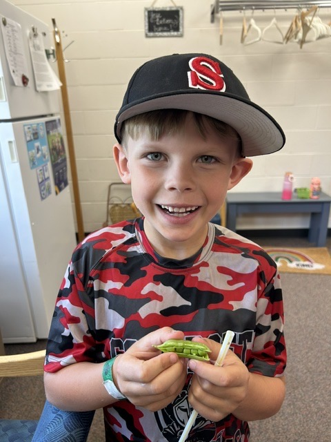 Students in Garden to Give spent time picking fresh peas and learning all about how peas grow, their nutritional benefits, and the important role they play in the garden.🌱🫛