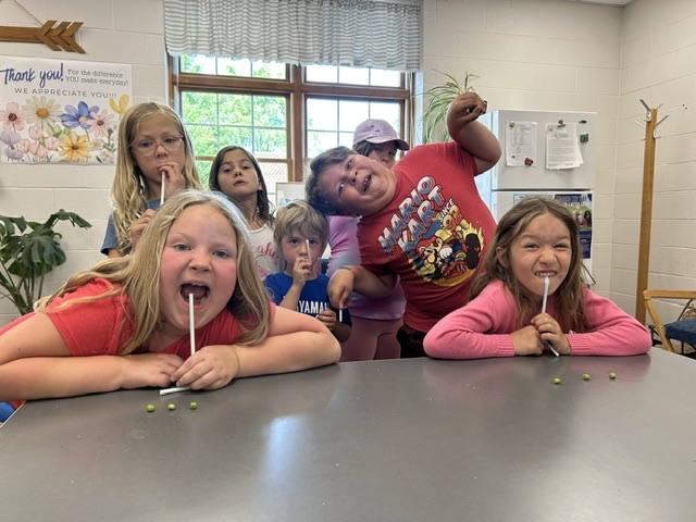 Students in Garden to Give spent time picking fresh peas and learning all about how peas grow, their nutritional benefits, and the important role they play in the garden. 🌱🫛