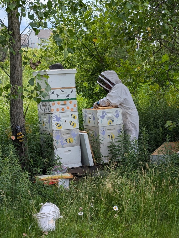 SES is buzzing with excitement as we prepare to expand our beehives! 🐝 