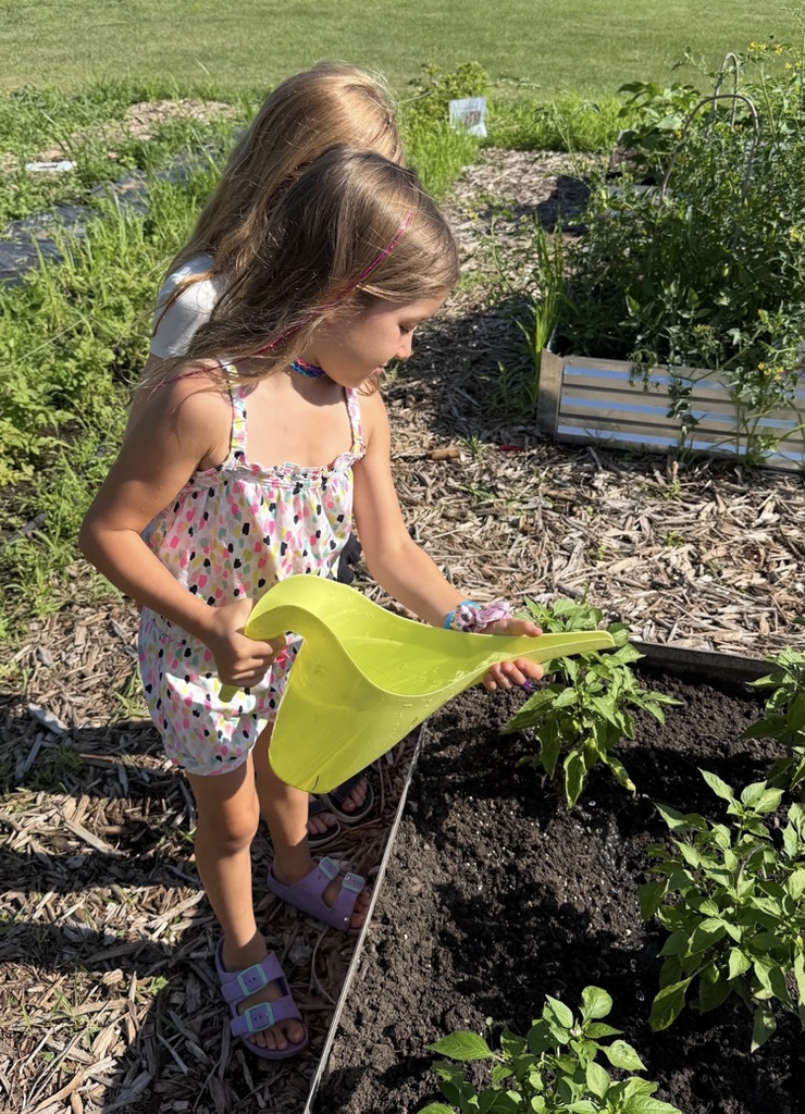 Mr. and Mrs. Klinger’s first grade day camp spent the day in the garden! 