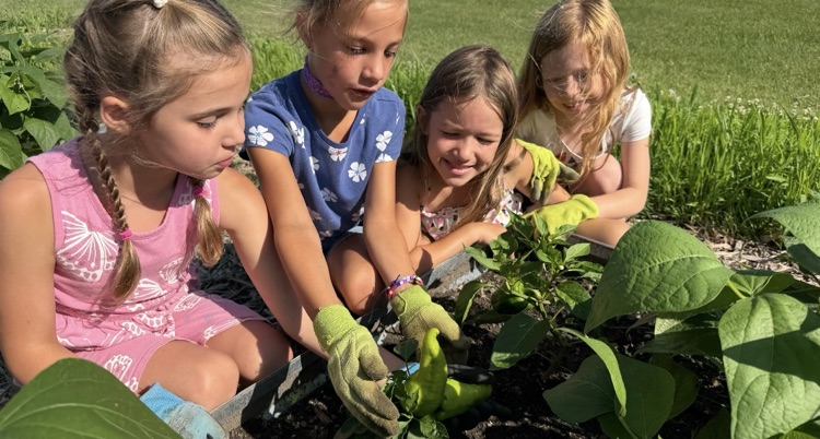 Mr. and Mrs. Klinger’s first grade day camp spent the day in the garden! 
