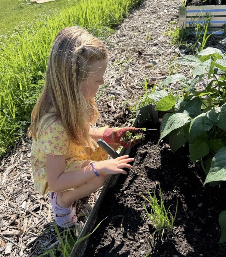 Mr. and Mrs. Klinger’s first grade day camp spent the day in the garden! 