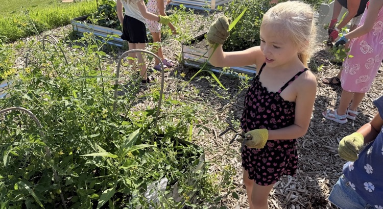 Mr. and Mrs. Klinger’s first grade day camp spent the day in the garden! 