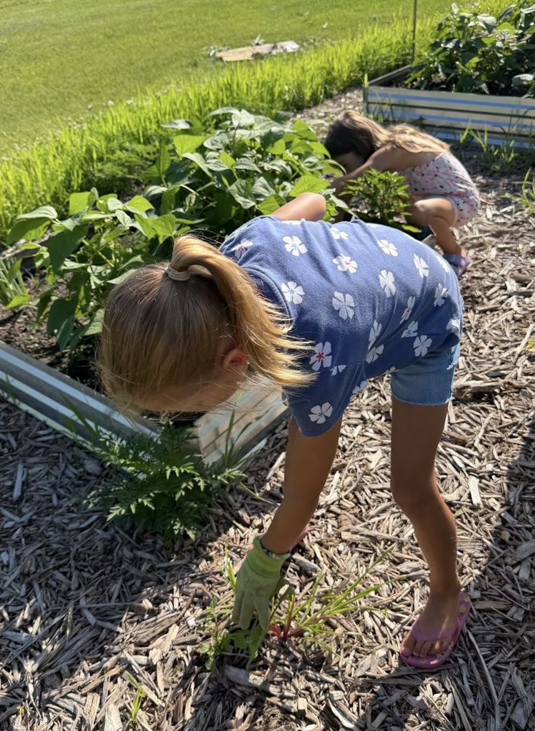 Mr. and Mrs. Klinger’s first grade day camp spent the day in the garden! 