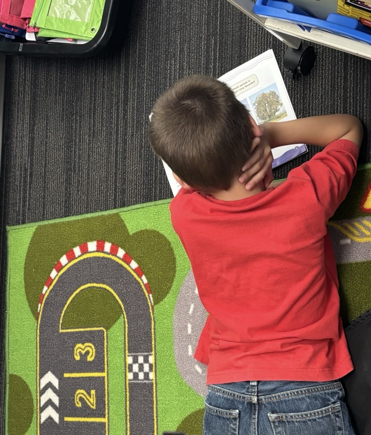 Second graders are taking their reading everywhere!