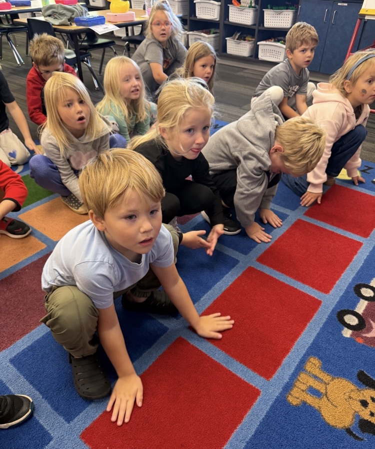 Ms. Berger’s kindergarten class learned that all animals need food! 