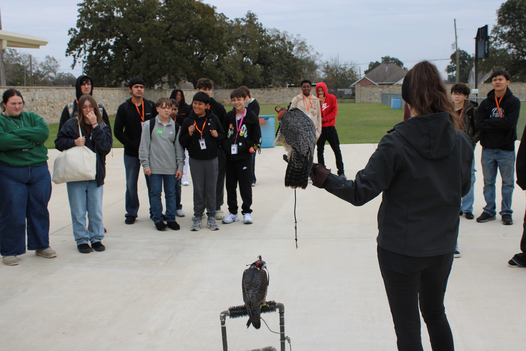 Texas Parks and Wildlife Falcon presentation