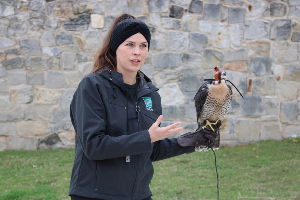 Texas Parks and Wildlife Falcon presentation
